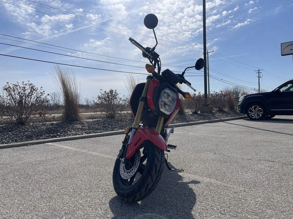 2026 Honda Grom alt