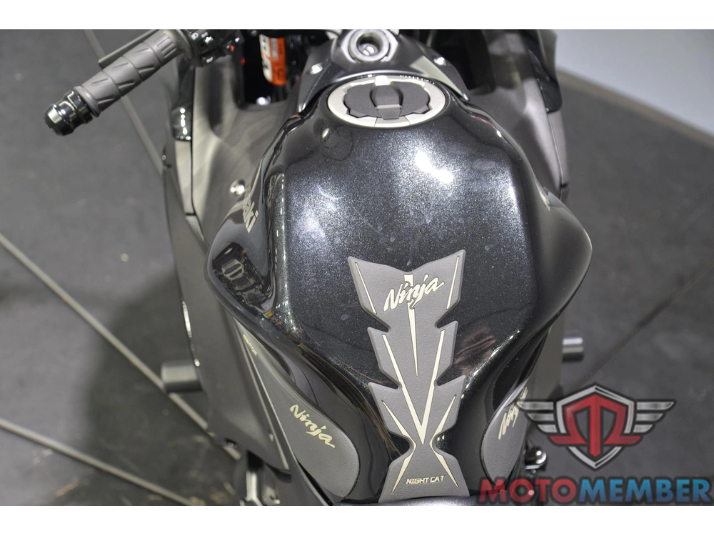 2025 Kawasaki Ninja® 650 alt