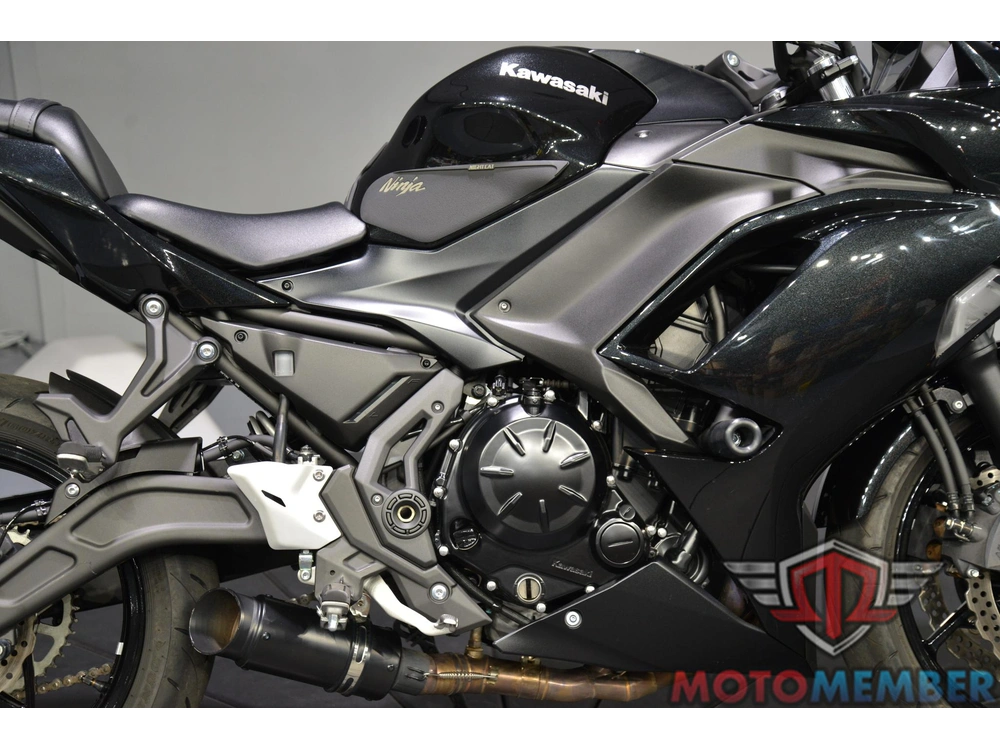2025 Kawasaki Ninja® 650 alt