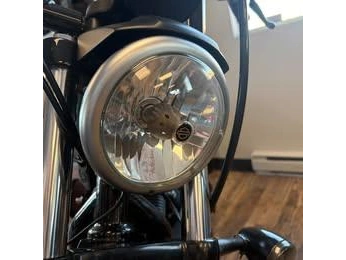 Harley-davidson Xl883 Iron Dark 2014 alt