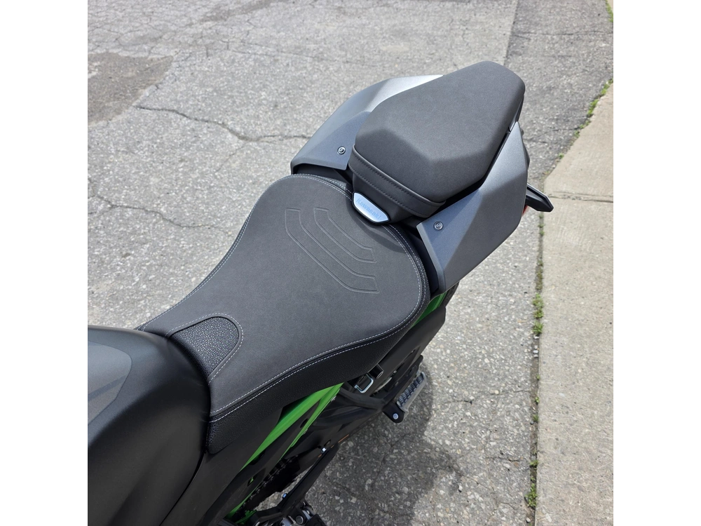 2026 Kawasaki Z900 Se alt