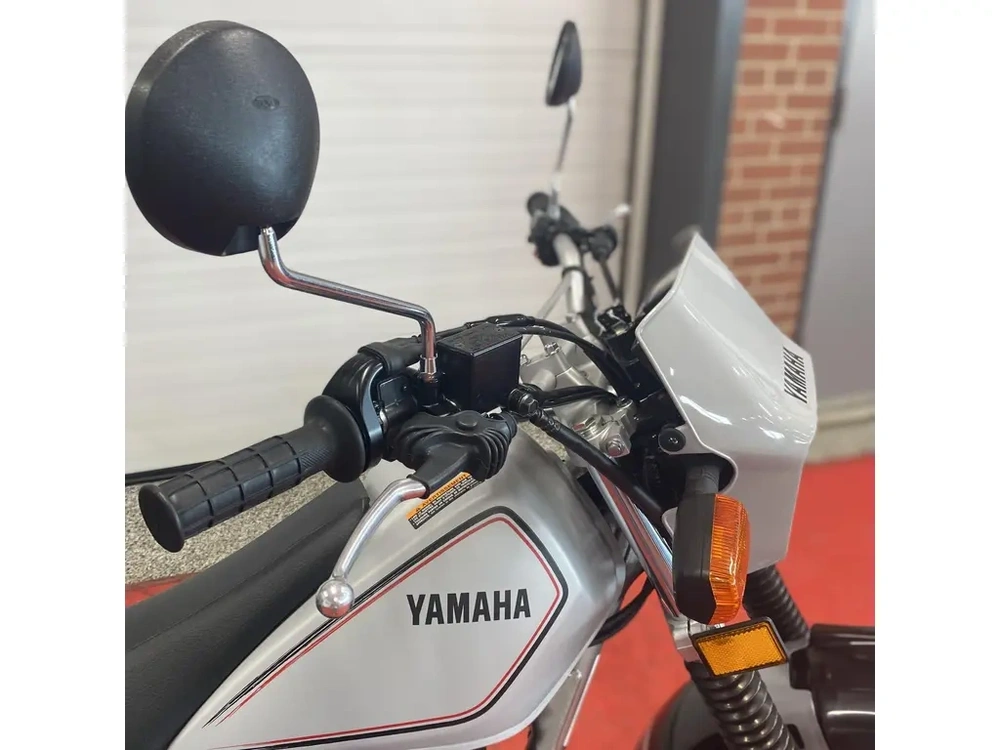2026 Yamaha Tw200 alt
