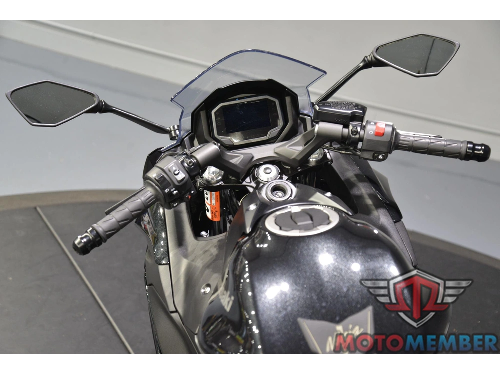 2025 Kawasaki Ninja® 650 alt