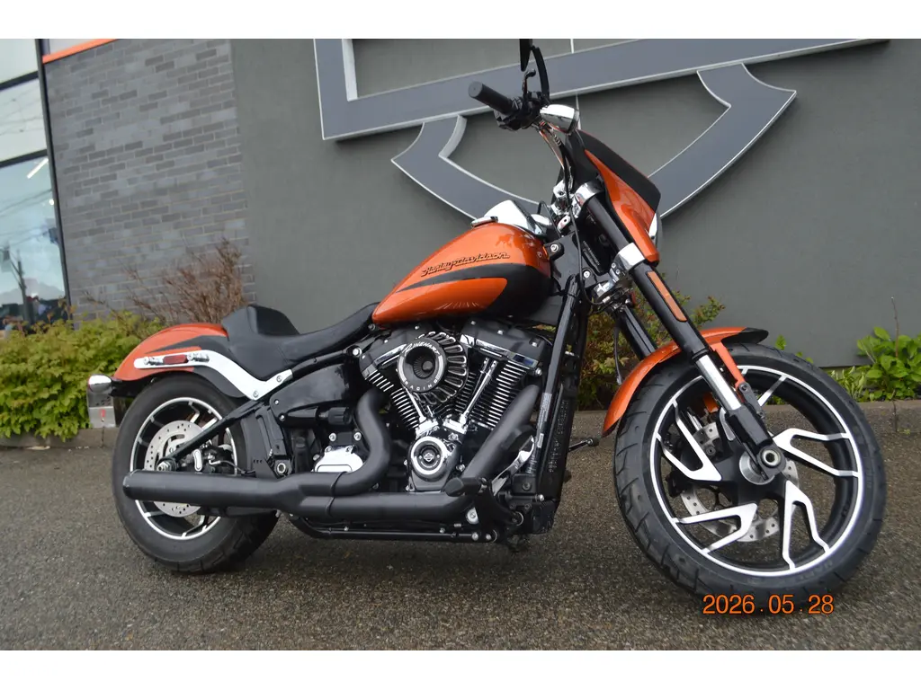 2019 Harley-Davidson FLSB 
