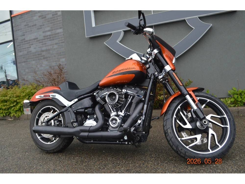 2019 Harley-davidson Flsb alt