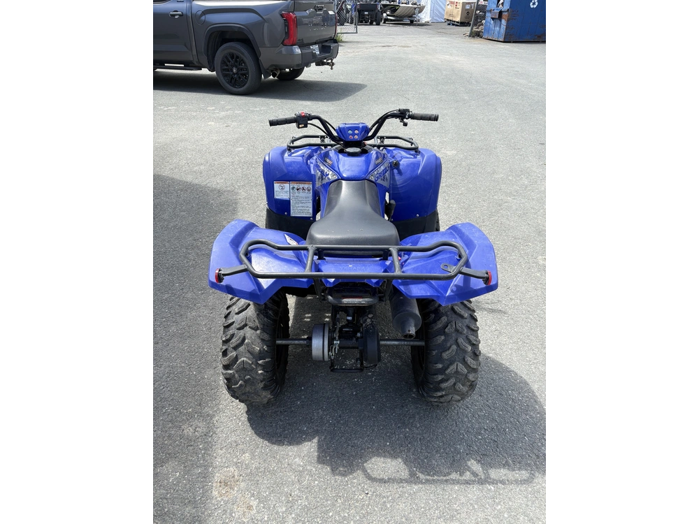 Yamaha Grizzly 110 2025 alt