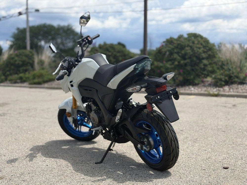 2026 Kawasaki Z125 Pro alt