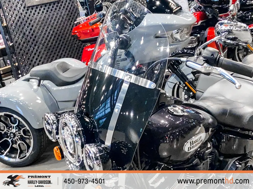 Harley-Davidson HERITAGE CLASSICFLHCS 2021
