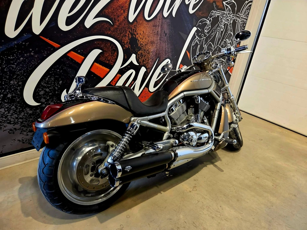 Harley-davidson V-rod Vrsc 2004 alt