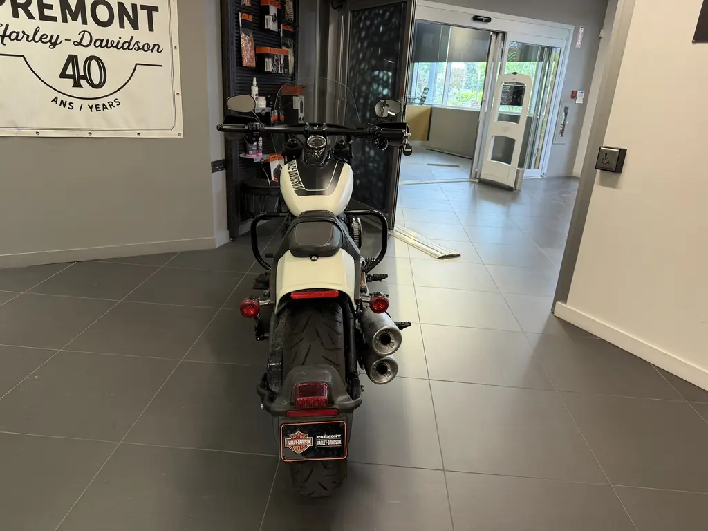 2019 Harley-Davidson FAT BOB 114FXFBS