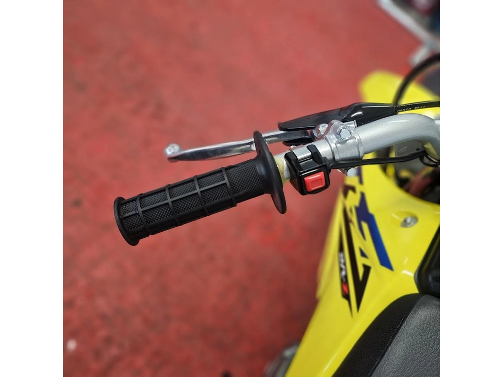 2026 Suzuki Dr-z 125l alt