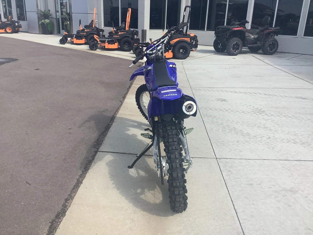 2026 Yamaha Ttr230 alt