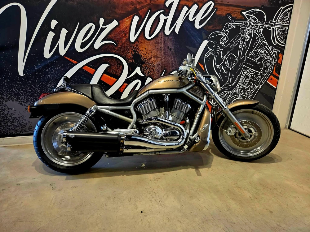 Harley-davidson V-rod Vrsc 2004 alt