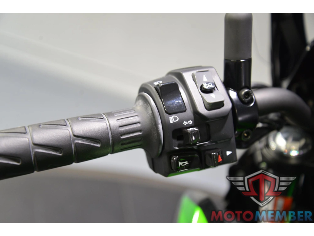 2025 Kawasaki Z650 Abs alt
