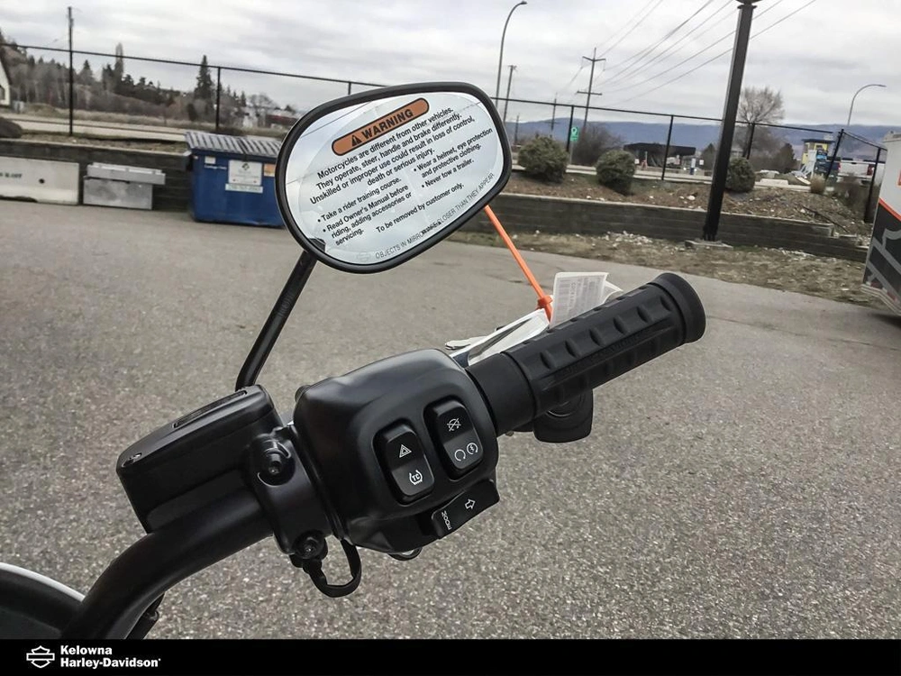 2026 Harley-davidson Fxlrs - Low Rider® S alt