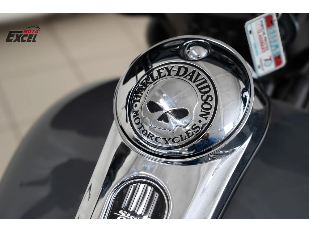 Harley-davidson Flhxs 2015 alt