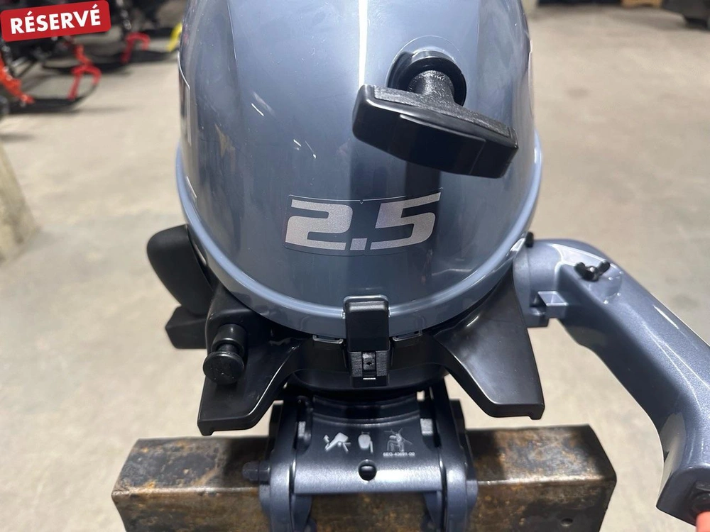 Yamaha F2.5lmhb 2026 alt