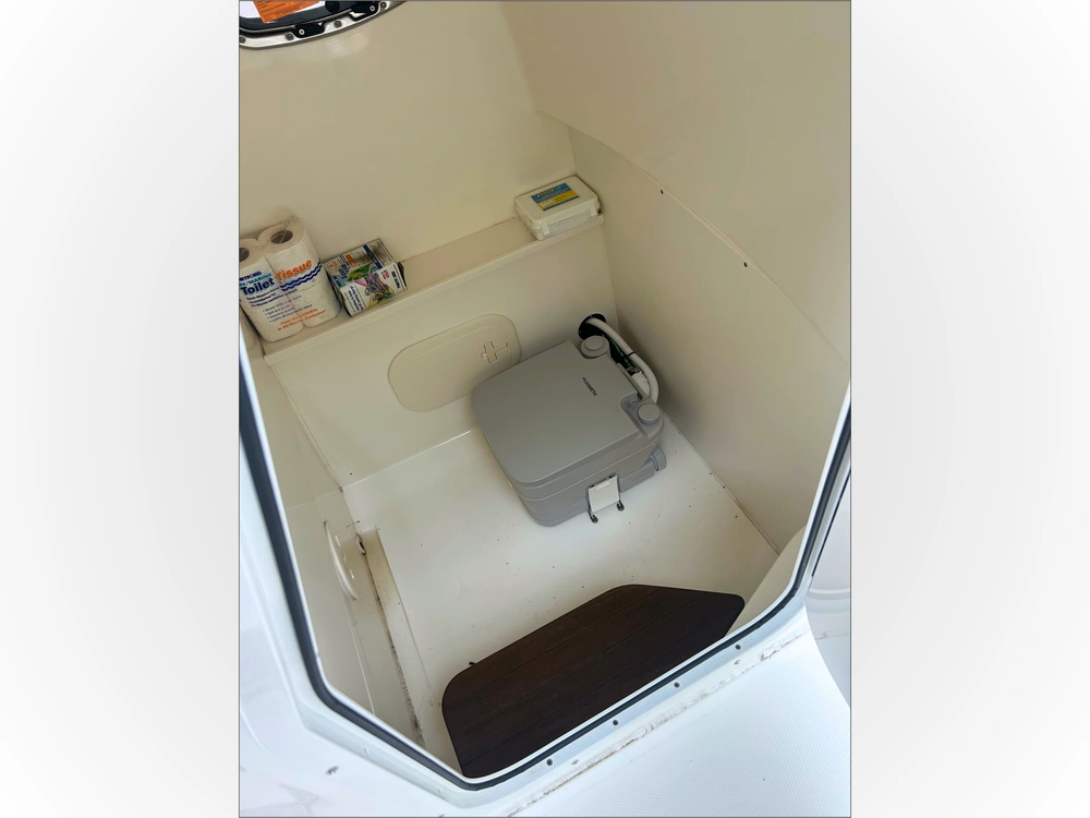 2022 Boston Whaler 270 Dauntless alt