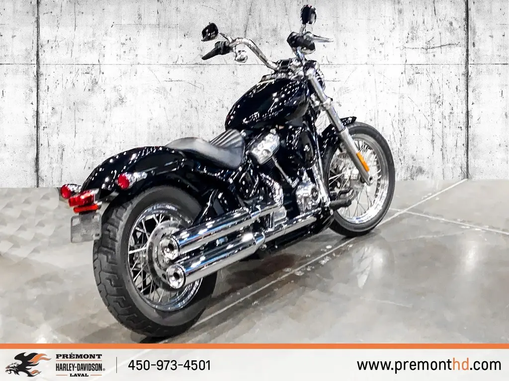 2020 Harley-Davidson Softail StandardFXST