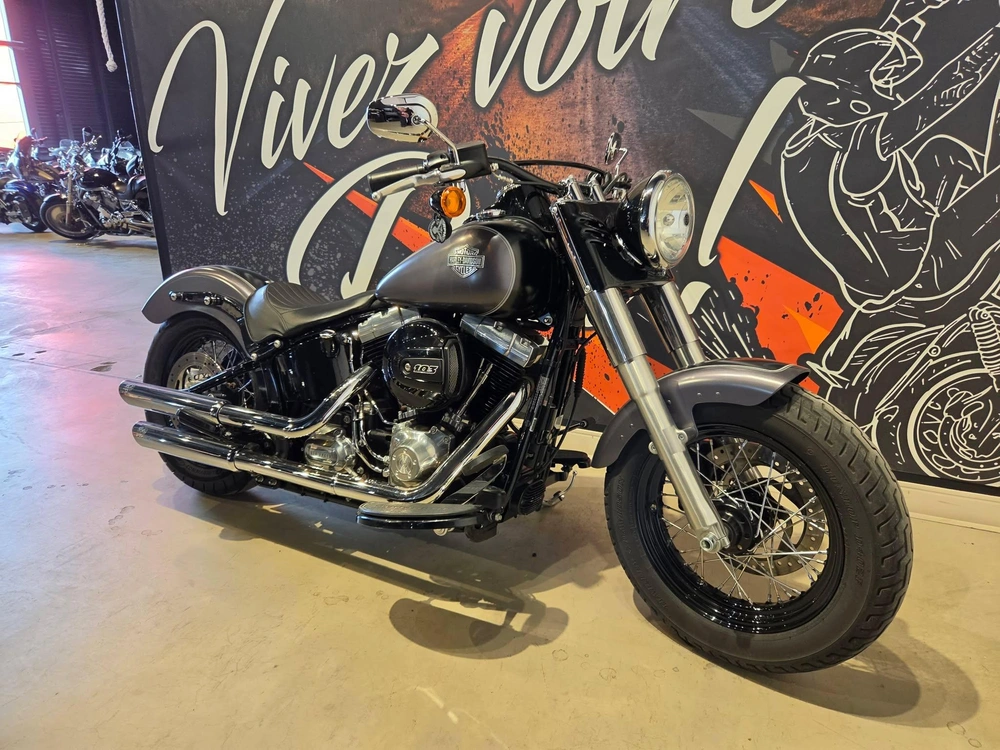 Harley-davidson Softail Slim Fls 2016 alt