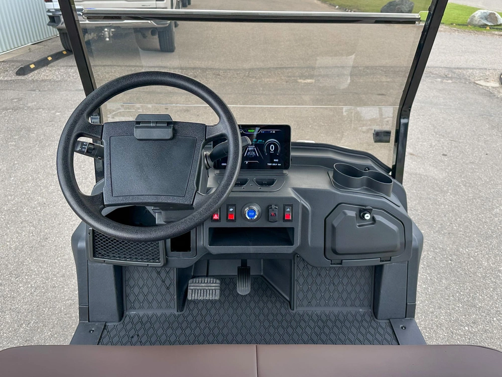 2026 Buzz G2 Standard alt