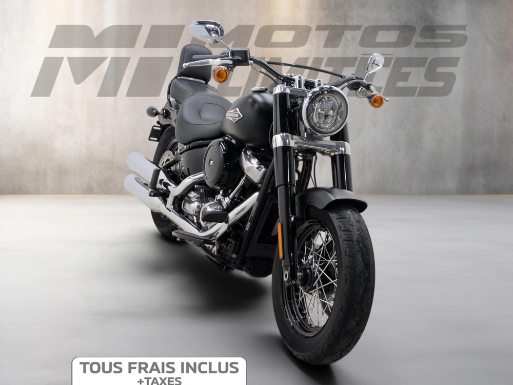 2020 Harley-davidson Flsl Softail Slim 107 Abs alt