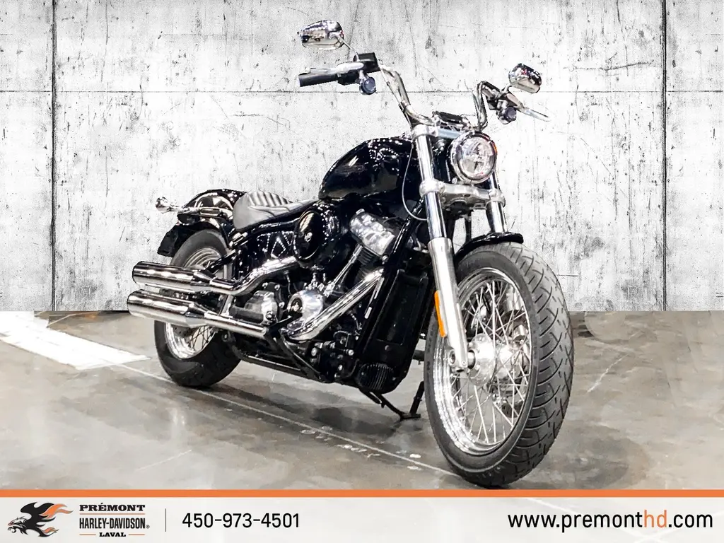 2020 Harley-Davidson Softail StandardFXST