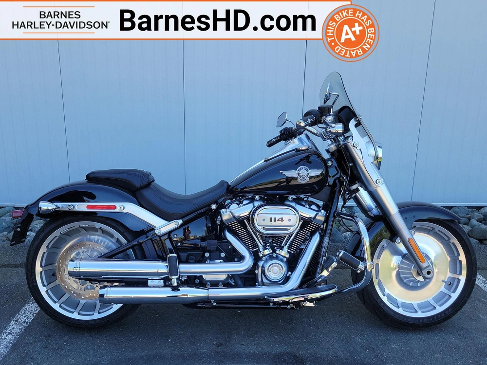 2019 Harley-davidson Flfbs - Fat Boy™ 114 alt