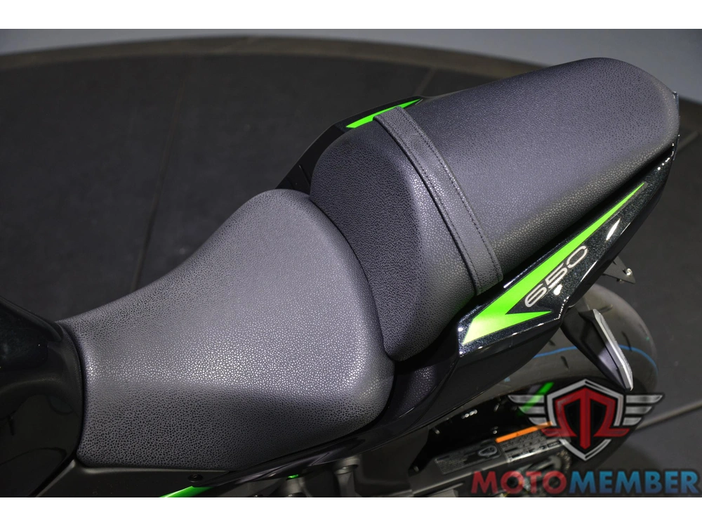 2025 Kawasaki Z650 Abs alt