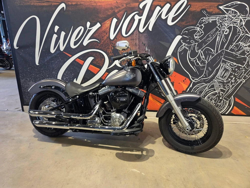 Harley-davidson Softail Slim Fls 2016 alt