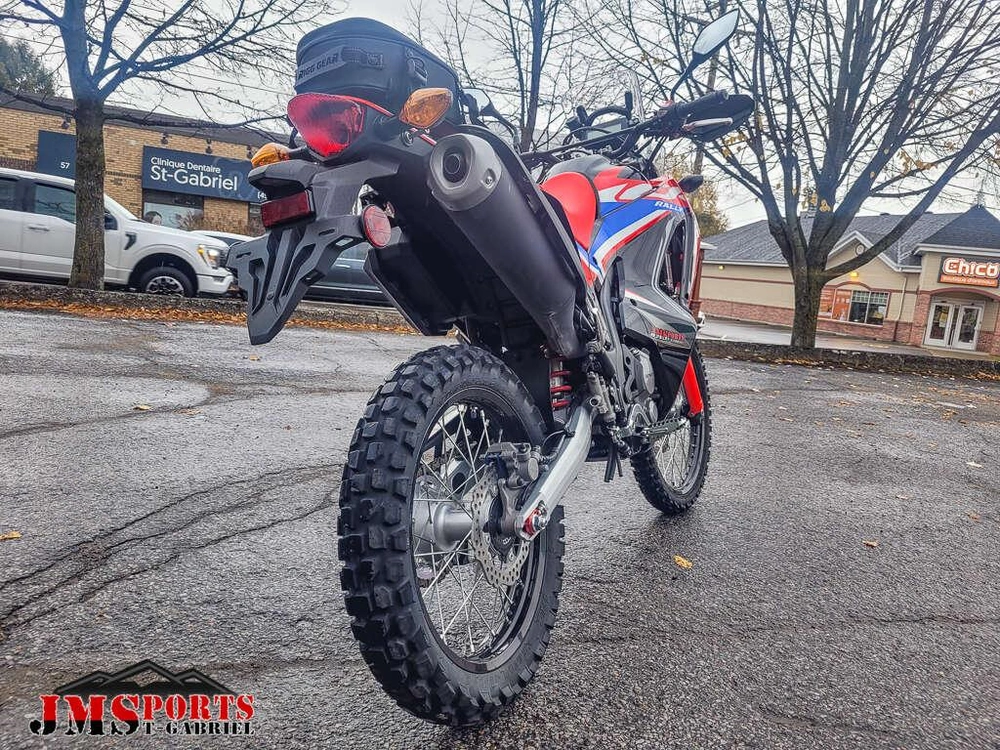 Honda Crf300 Rally 2024 alt