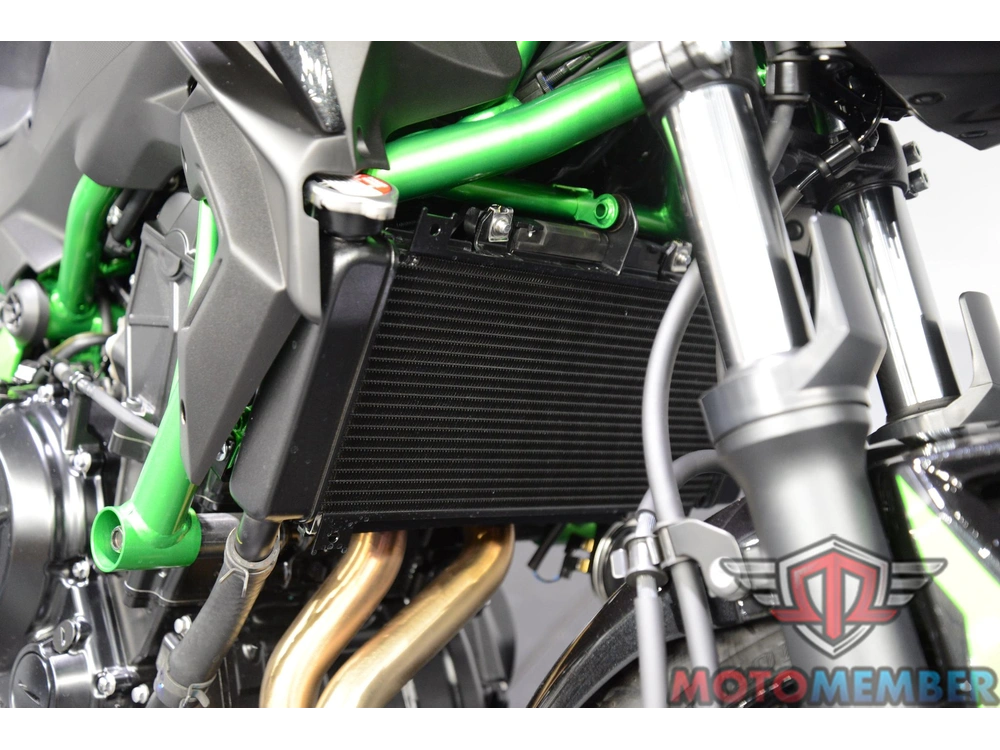 2025 Kawasaki Z650 Abs alt