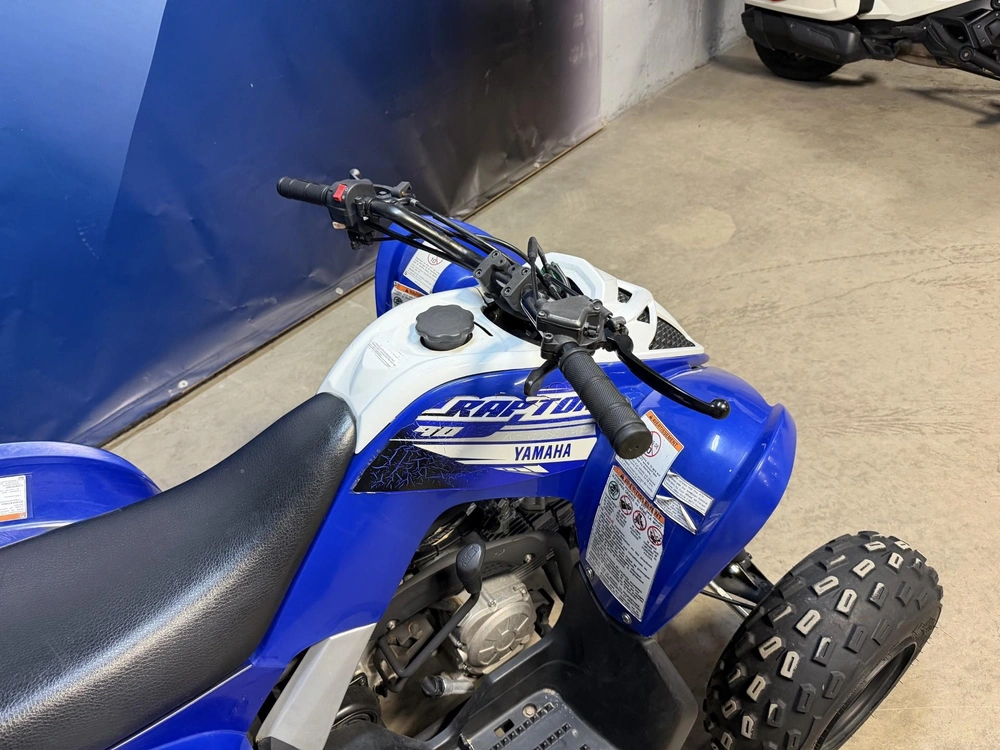 Yamaha Raptor 90 2020 alt