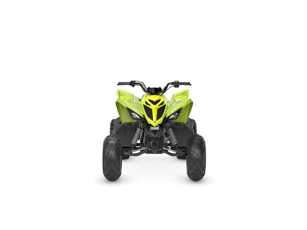 2026 Yamaha Raptor 110 alt