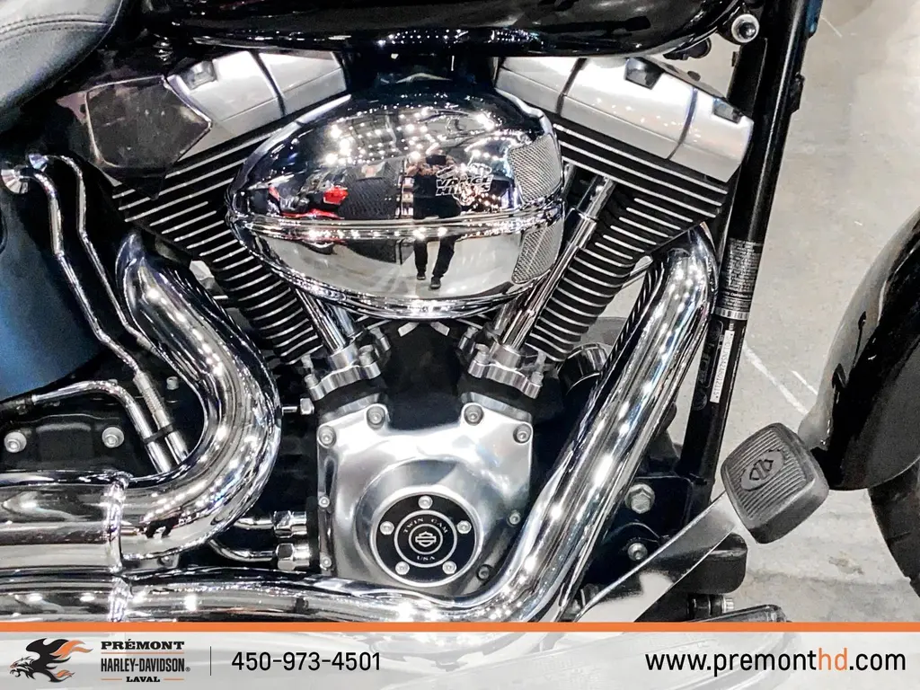 Harley-Davidson FATBOYFLSTF 2010