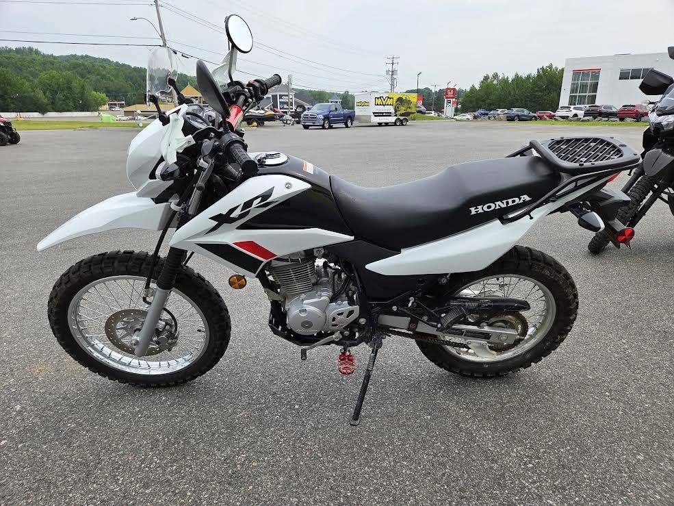 Honda Xr150l P 2024 alt