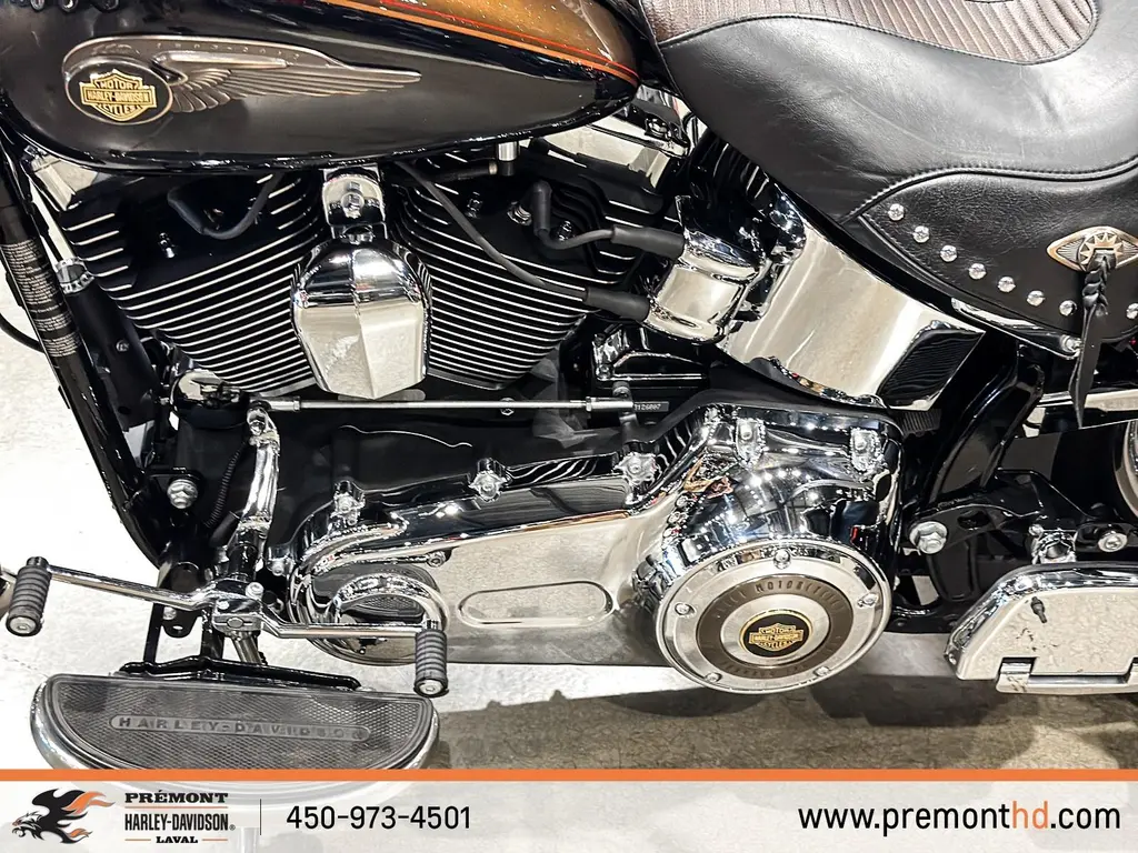 Harley-Davidson FLSTC HERITAGEFLSTC 2013