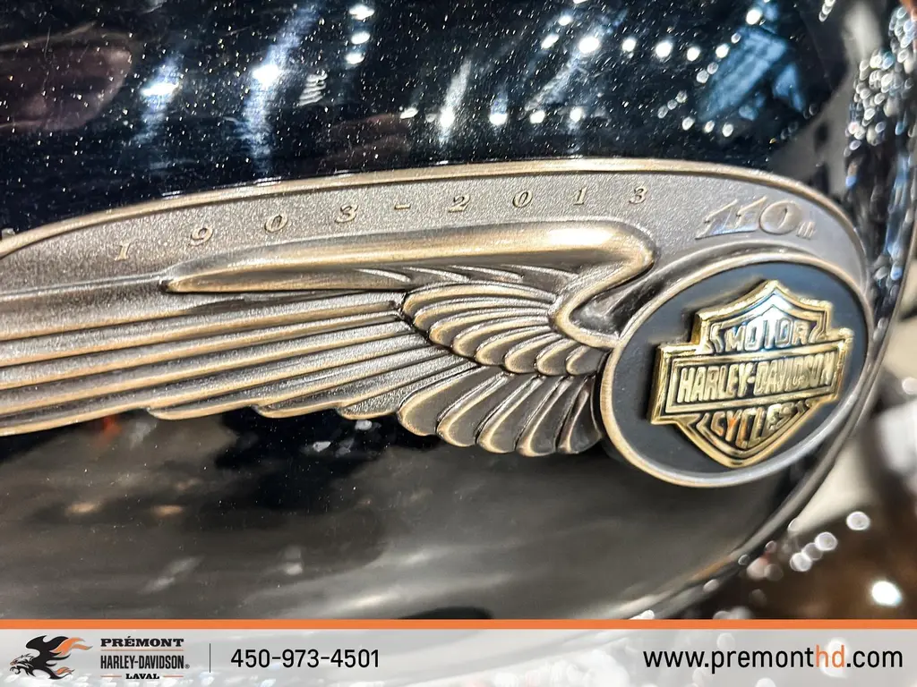Harley-Davidson FLSTC HERITAGEFLSTC 2013