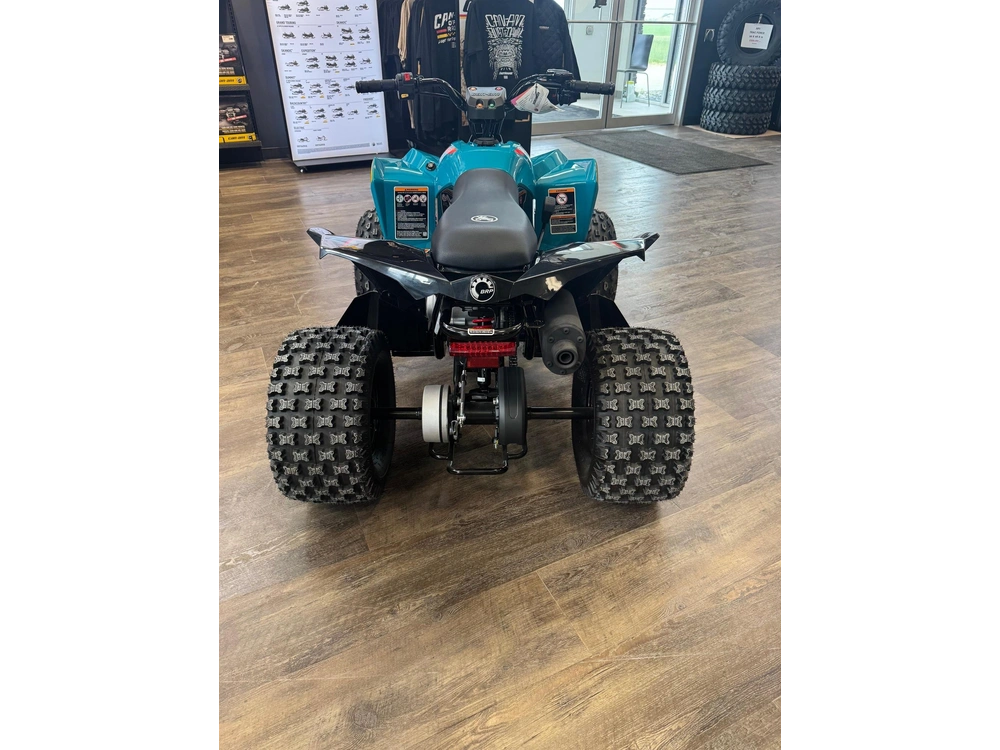 2026 Can-am Renegade 110 Efi alt