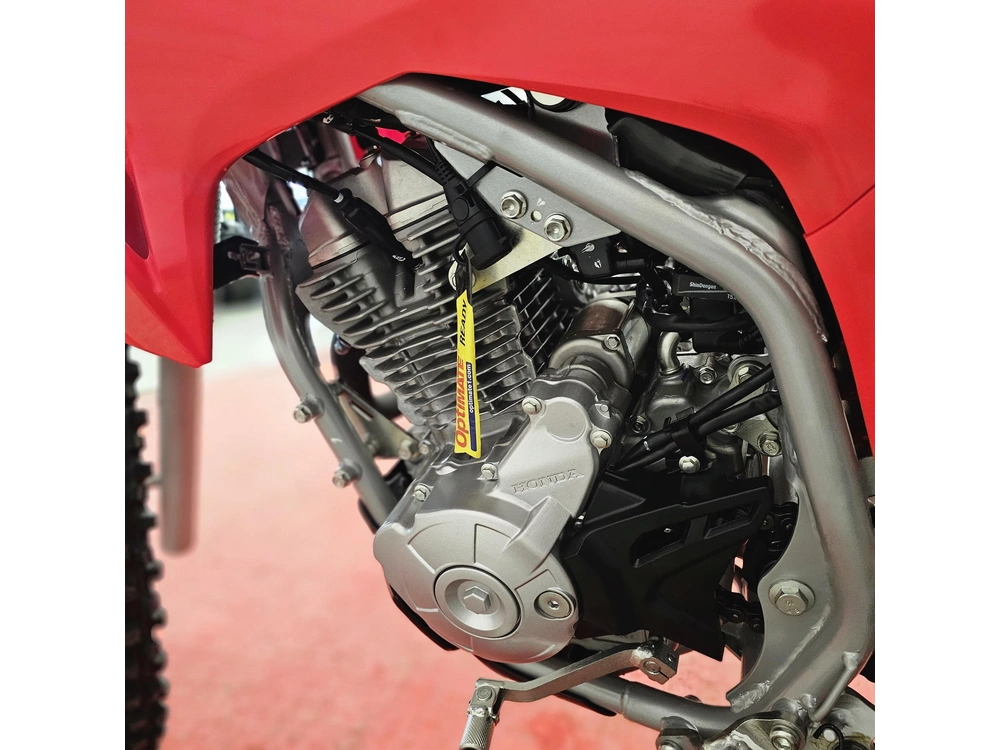 2026 Honda Crf300ft alt