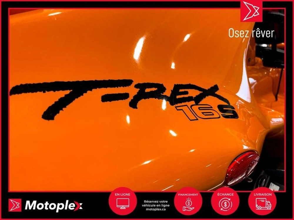 Campagna T-rex Rr 2021 alt