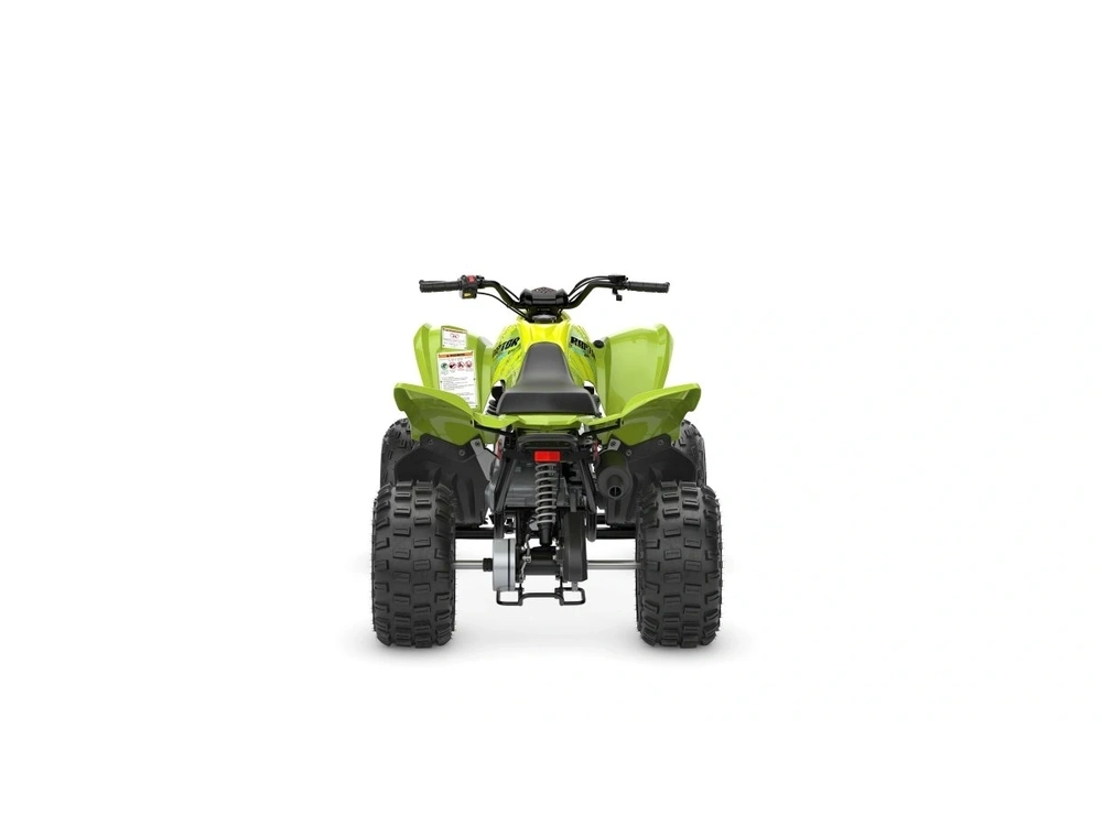 2026 Yamaha Raptor 110 alt