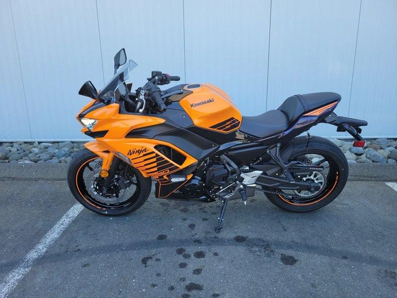 2025 Kawasaki Ninja 650 alt