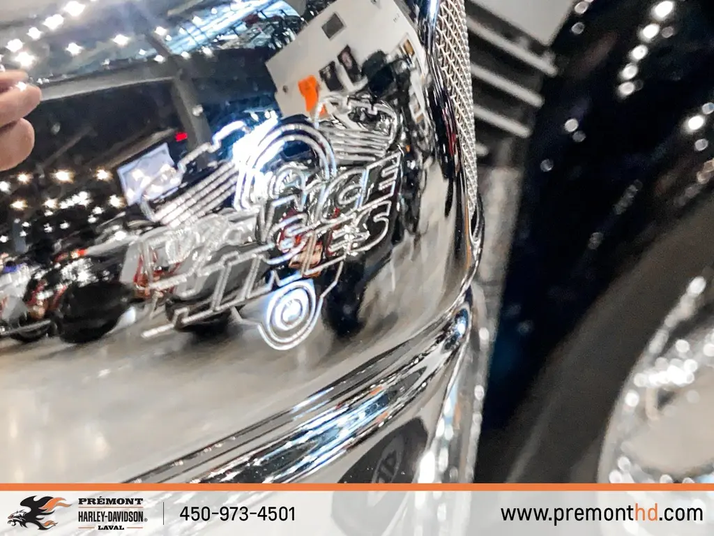 Harley-Davidson FATBOYFLSTF 2010