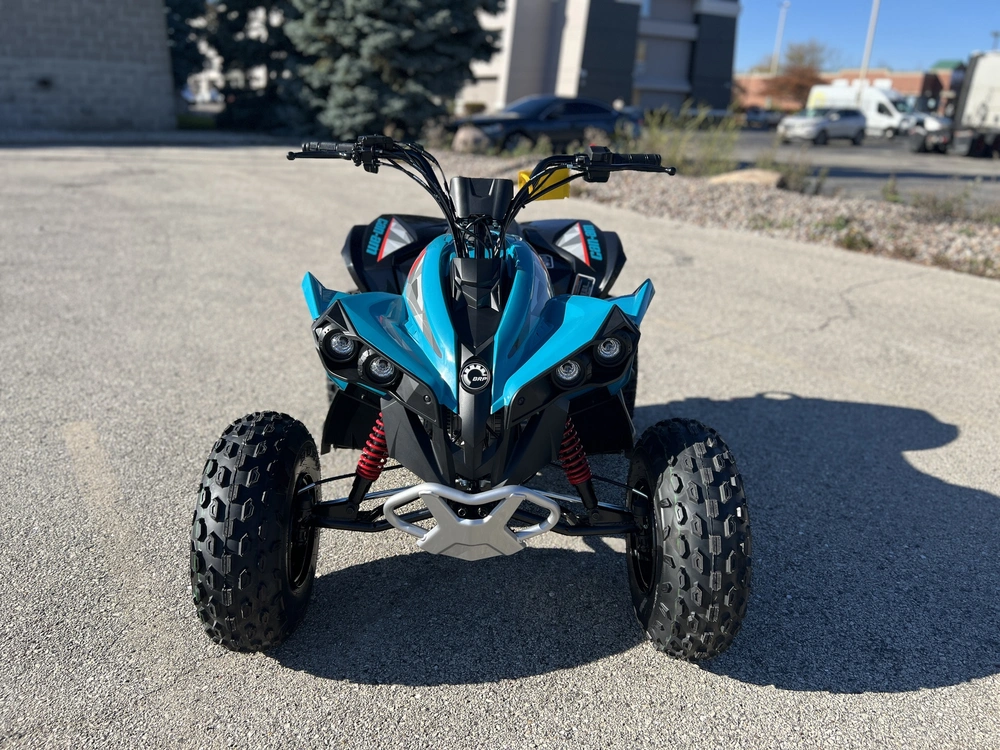 2026 Can-am Renegade 110 Efi alt