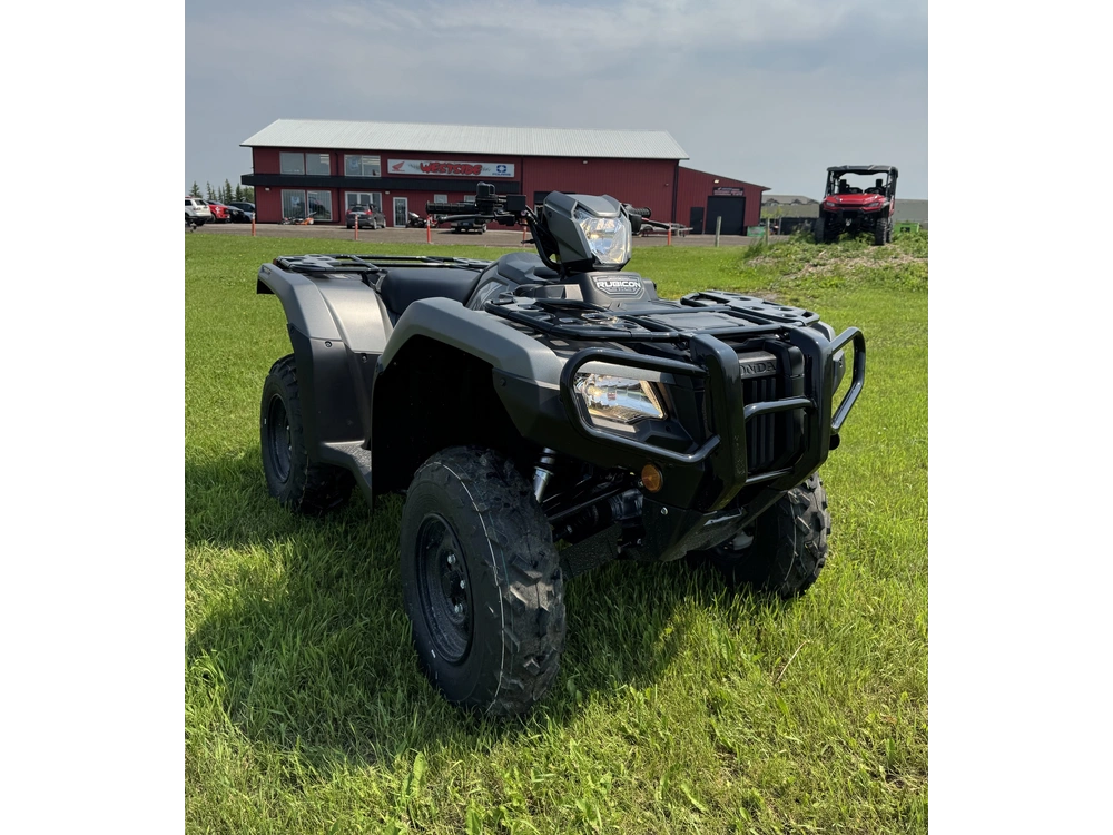 2026 Honda Rubicon Irs Eps alt