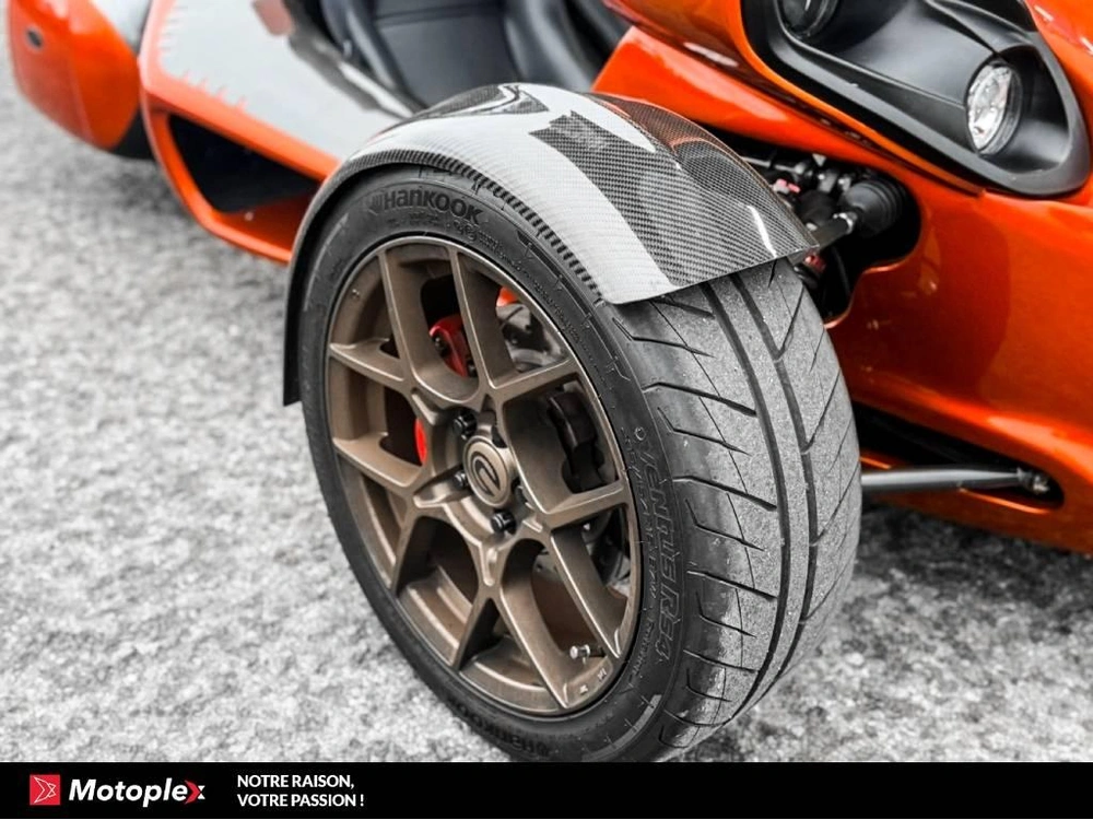 Campagna T-rex Rr 2021 alt
