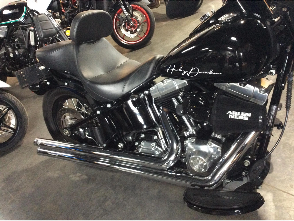 Harley-davidson Flssl Softail Slim 2016 alt