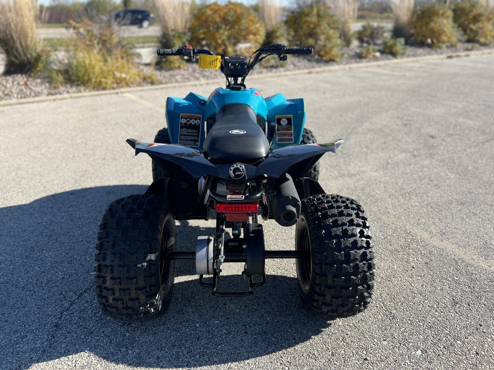 2026 Can-am Renegade 110 Efi alt
