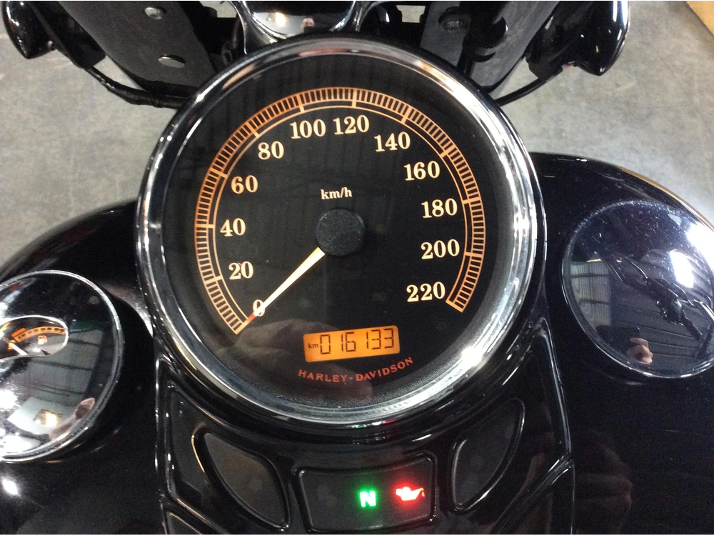 Harley-davidson Flssl Softail Slim 2016 alt